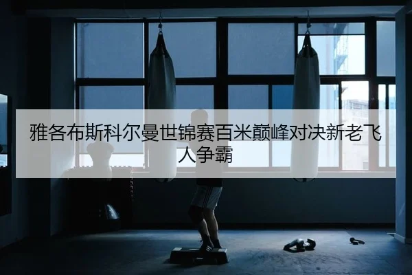 ya-ge-bu-si-ke-er-man-shi-jin-sai-bai-mi-dian-feng-dui-jue-xin-lao-fei-ren-zheng-ba-2-961.jpg